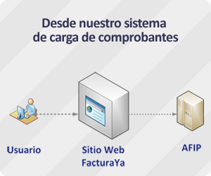 grafico web